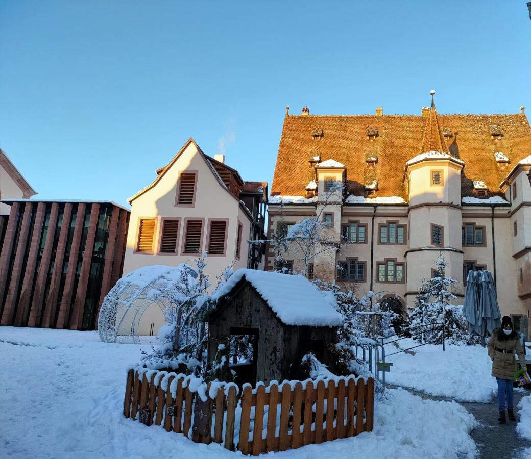 LA MAISON BLEUE, à 20 mn de Strasbourg, sur la route des vins, jusqu'à 6 personnes, Sélestat Esterno foto