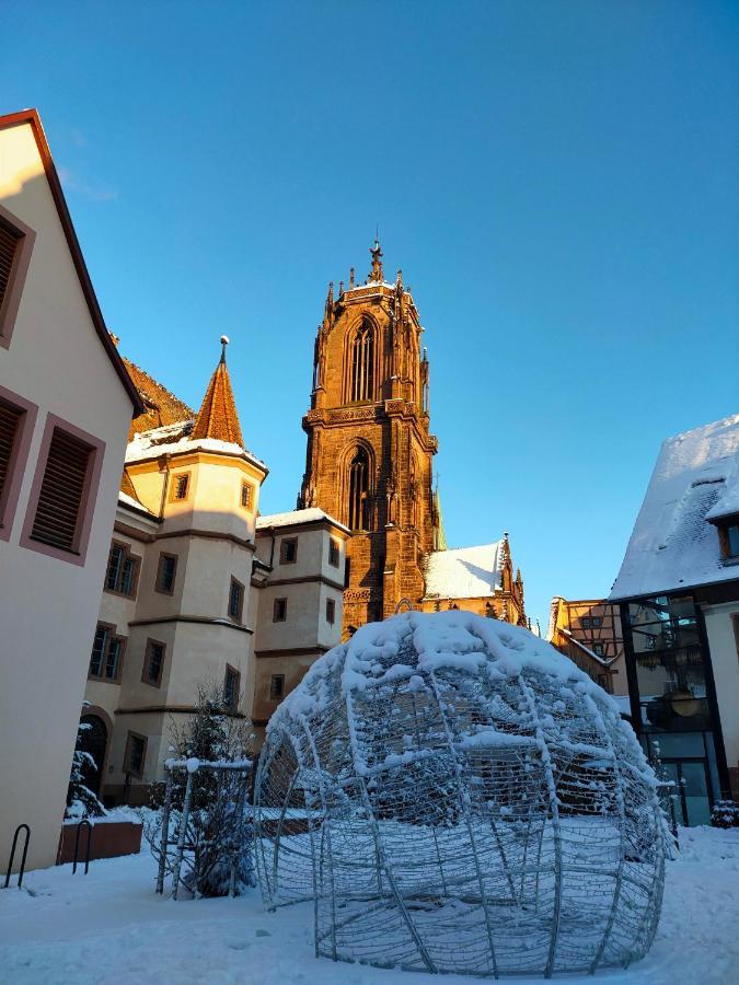 LA MAISON BLEUE, à 20 mn de Strasbourg, sur la route des vins, jusqu'à 6 personnes, Sélestat Esterno foto