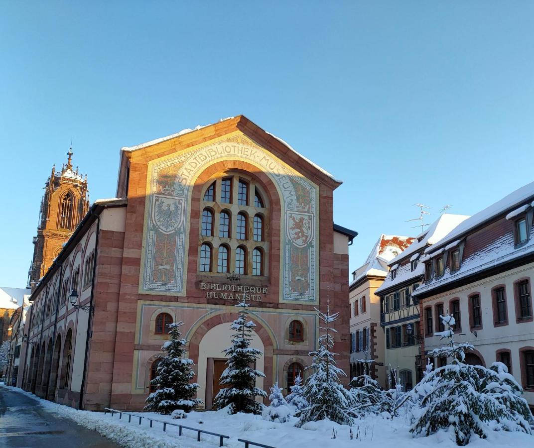 LA MAISON BLEUE, à 20 mn de Strasbourg, sur la route des vins, jusqu'à 6 personnes, Sélestat Esterno foto